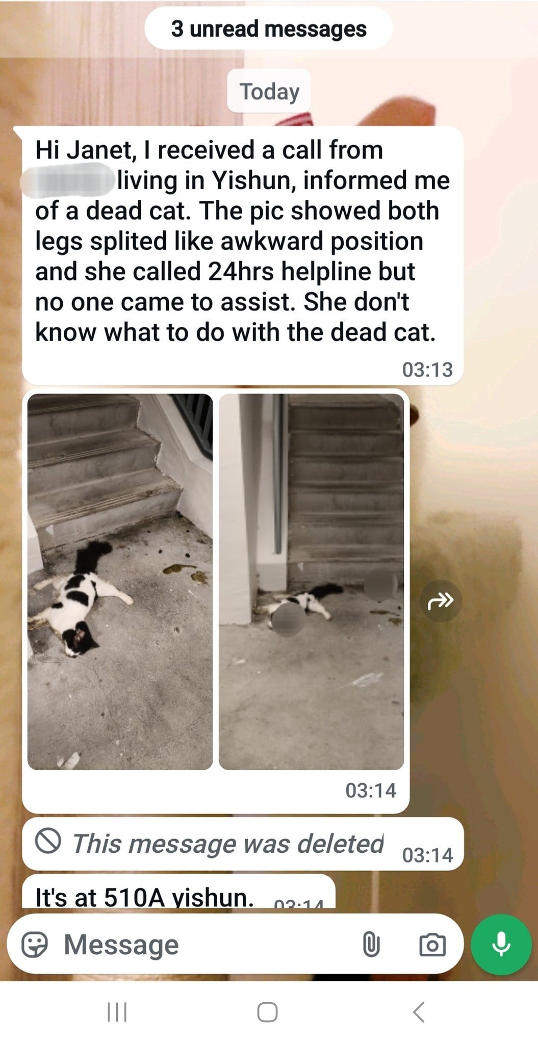 Umgebungsbild von Yishun Street 51 aus dem Bericht, lokal gespeichert.
