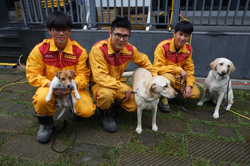 Suchhunde Wilson, Fancy und Hero der Feuerwehr Hualien. Bildquelle: CNA / Taiwan News.