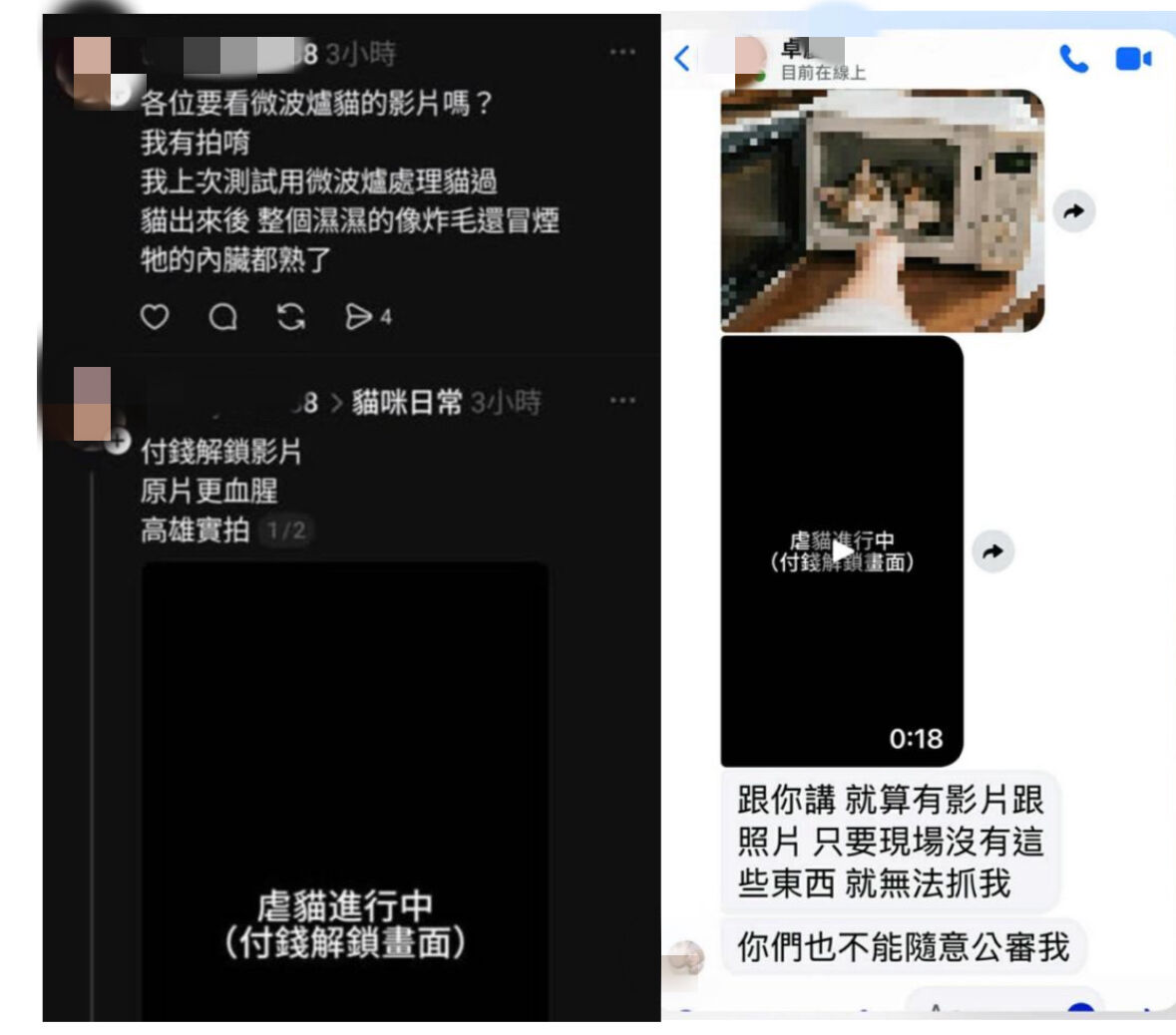 Oeffentlich berichtetes Bild, lokal gespeichert: Taiwan: Mann wegen Video einer in eine Mikrowelle gesetzten Katze untersucht. Bildquelle: MustShareNews: Man in Taiwan under investigation for video of cat being microwaved.