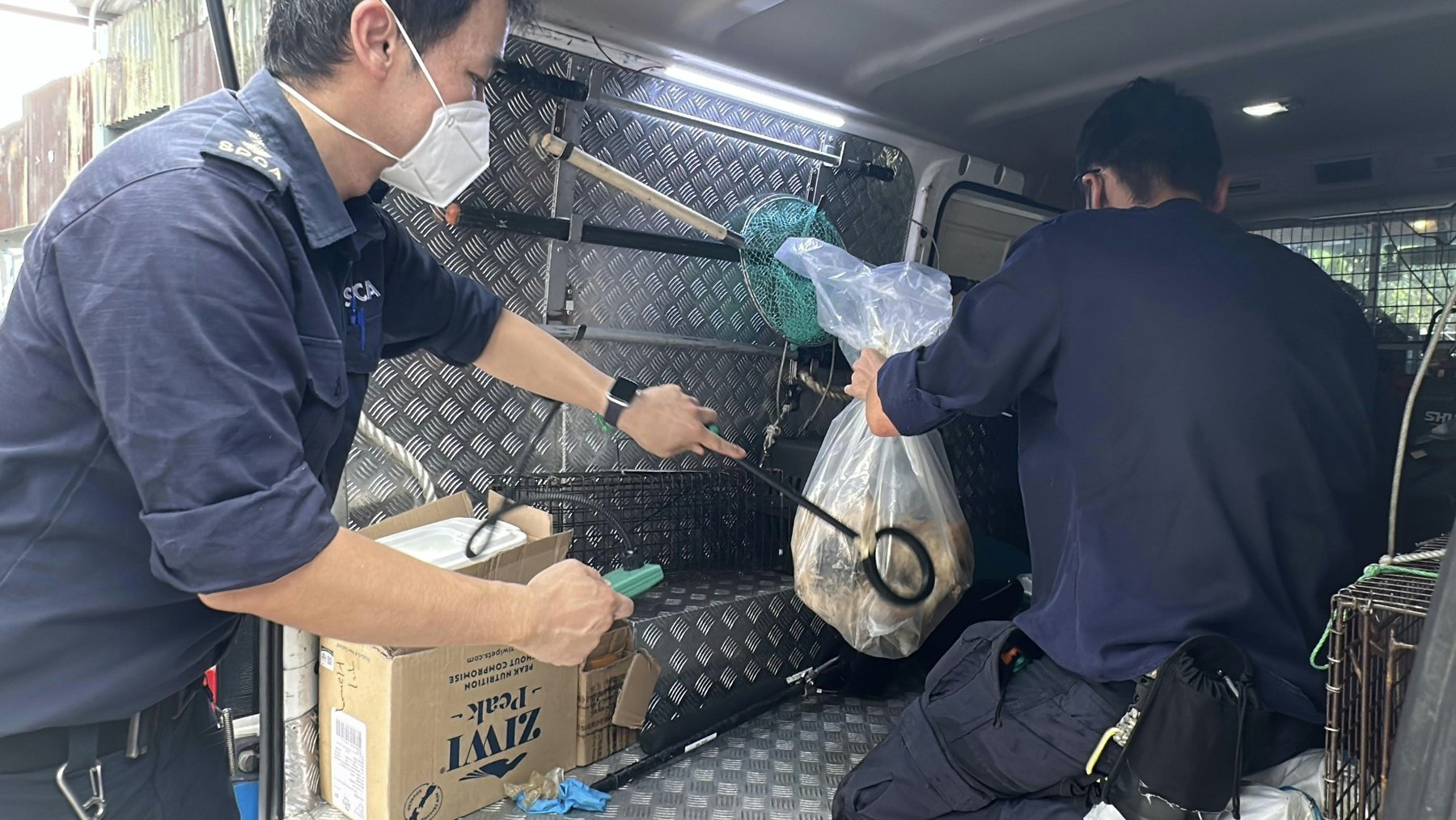Mitarbeiter transportieren Hunde im Tin-Shui-Wai-Fall