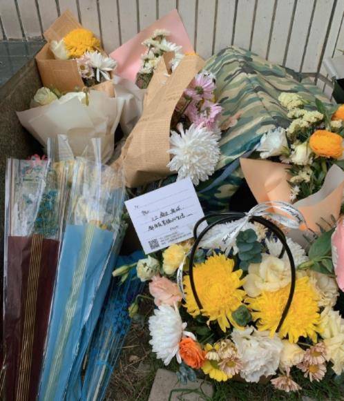 Blumen, die Studierende fuer die Katzen niederlegten