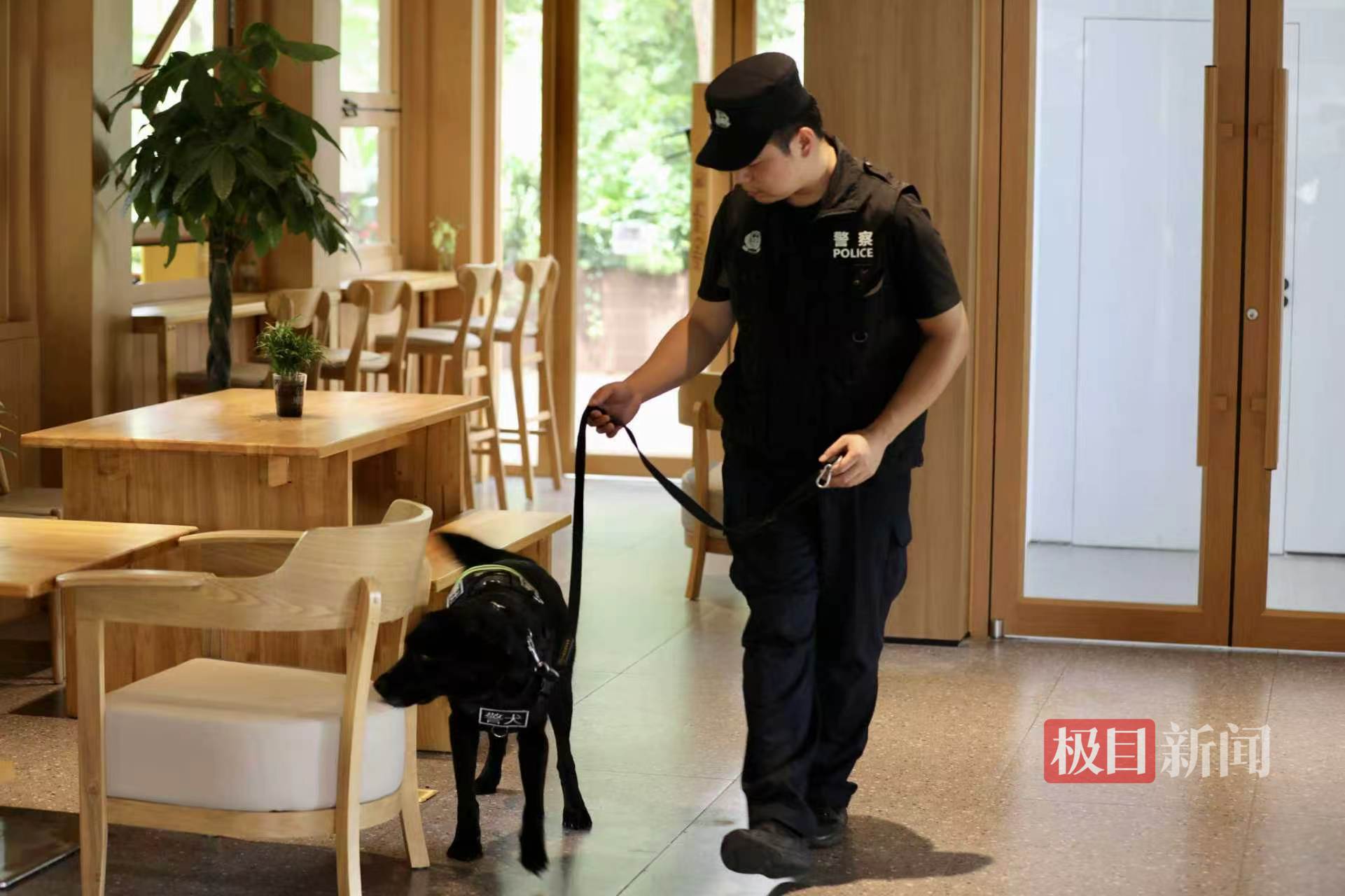 Training und Einsatzbilder der Polizeihundeeinheiten in Hubei. Quelle: Jimu News.