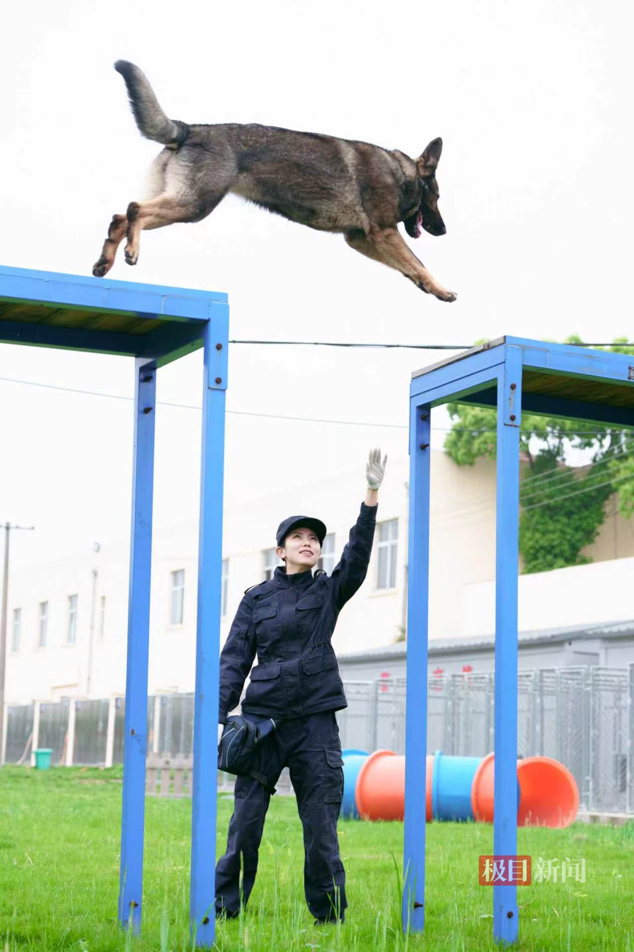 Training von Polizeihunden in Hubei. Quelle: Jimu News.