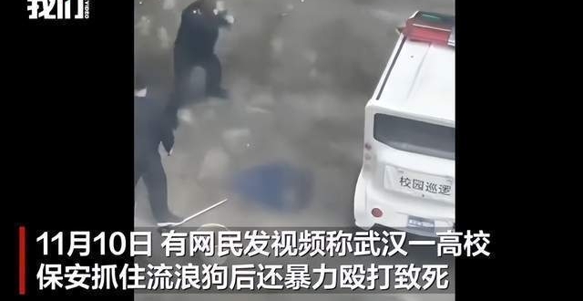 Videoscreenshot aus oeffentlichen Berichten zum Vorfall, bei dem ein Sicherheitsmann einer Hochschule in Wuhan einen Streunerhund behandelte. Quelle: Beijing News WeVideo, weiterverbreitet ueber Tencent News/Red Star News.