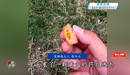Oeffentlich berichtete Schinkenwurst mit gelben Tabletten. Bild aus Jingshi Live, erneut veroeffentlicht von Guangming Online.