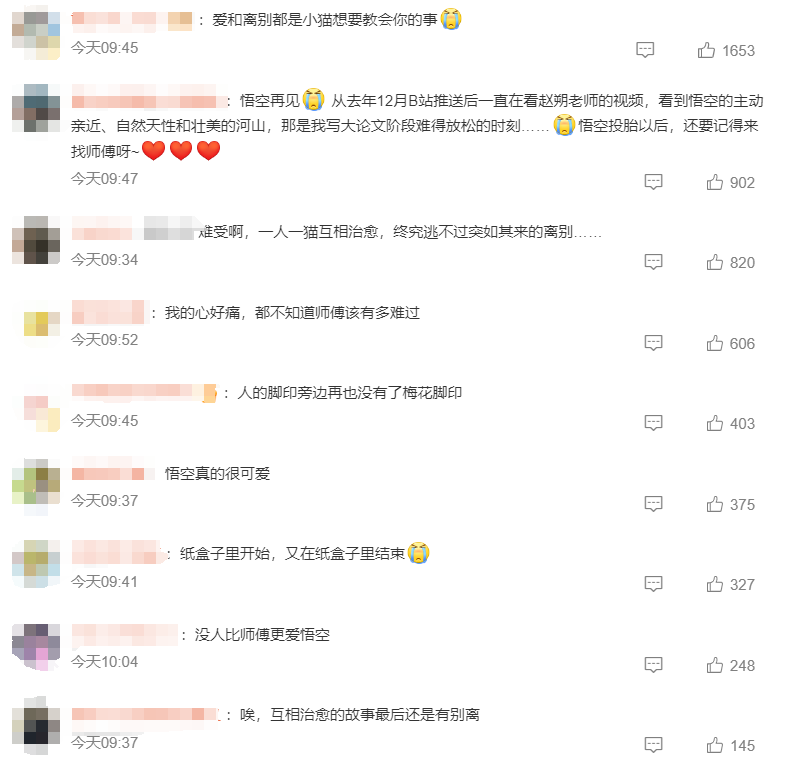 Screenshot von Kommentaren, in denen Internetnutzer um Wukong trauern