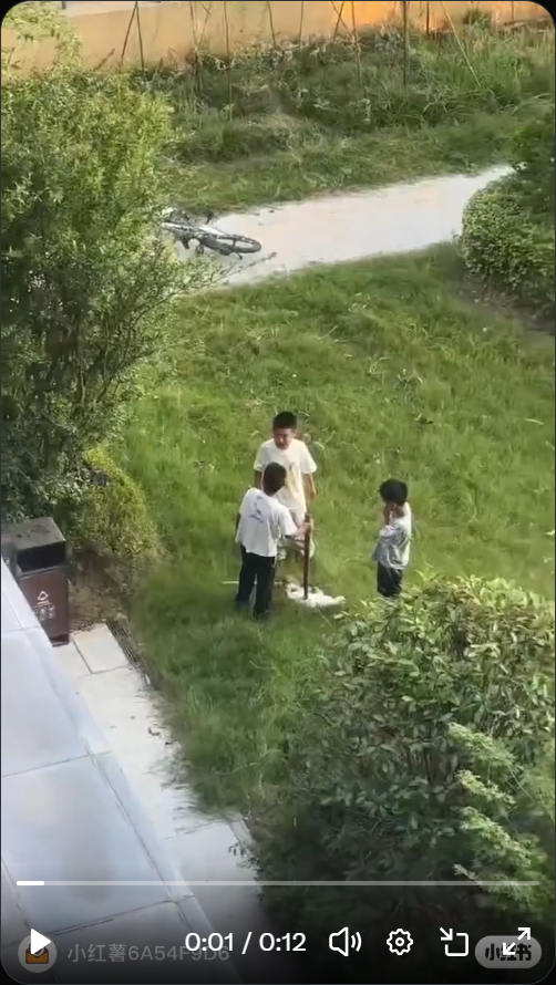 Xuzhou Siji Liancheng Jincheng: mutmaßlicher Fall einer weißen Katze