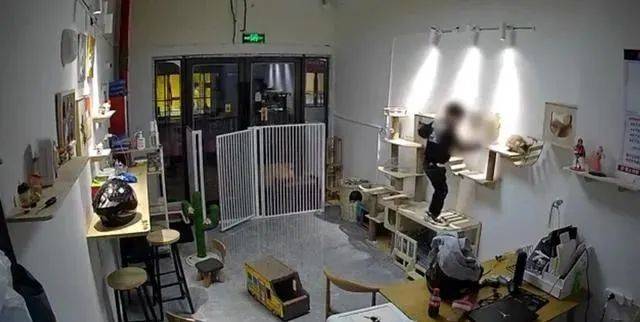 Ueberwachungsaufnahme der Katzenpension zeigt den Jungen beim Betreten des Innenraums