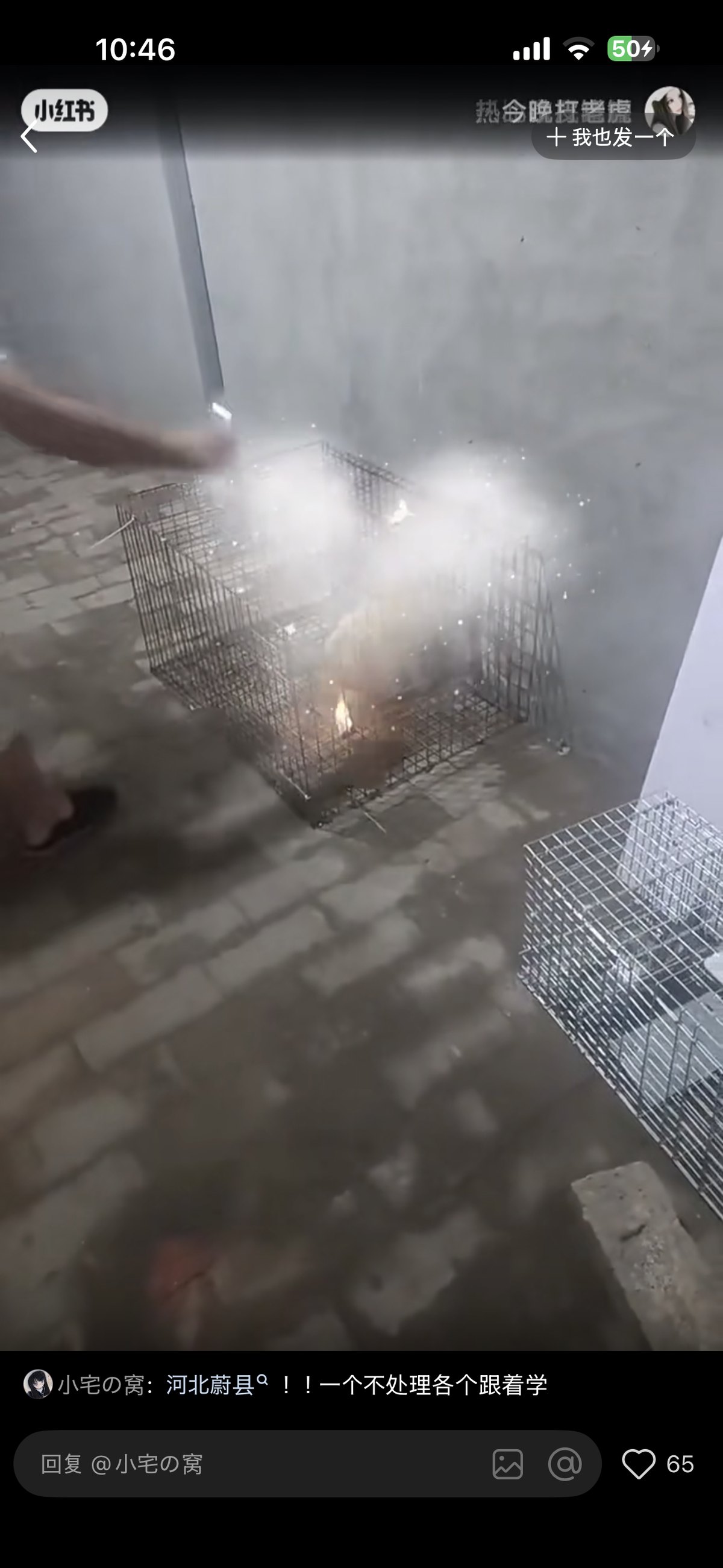 Weiterer Frame aus mutmaßlich demselben Video; rechts ist die Xiaohongshu-Oberfläche sichtbar, im Zentrum bleibt ein verpixelter Bereich.