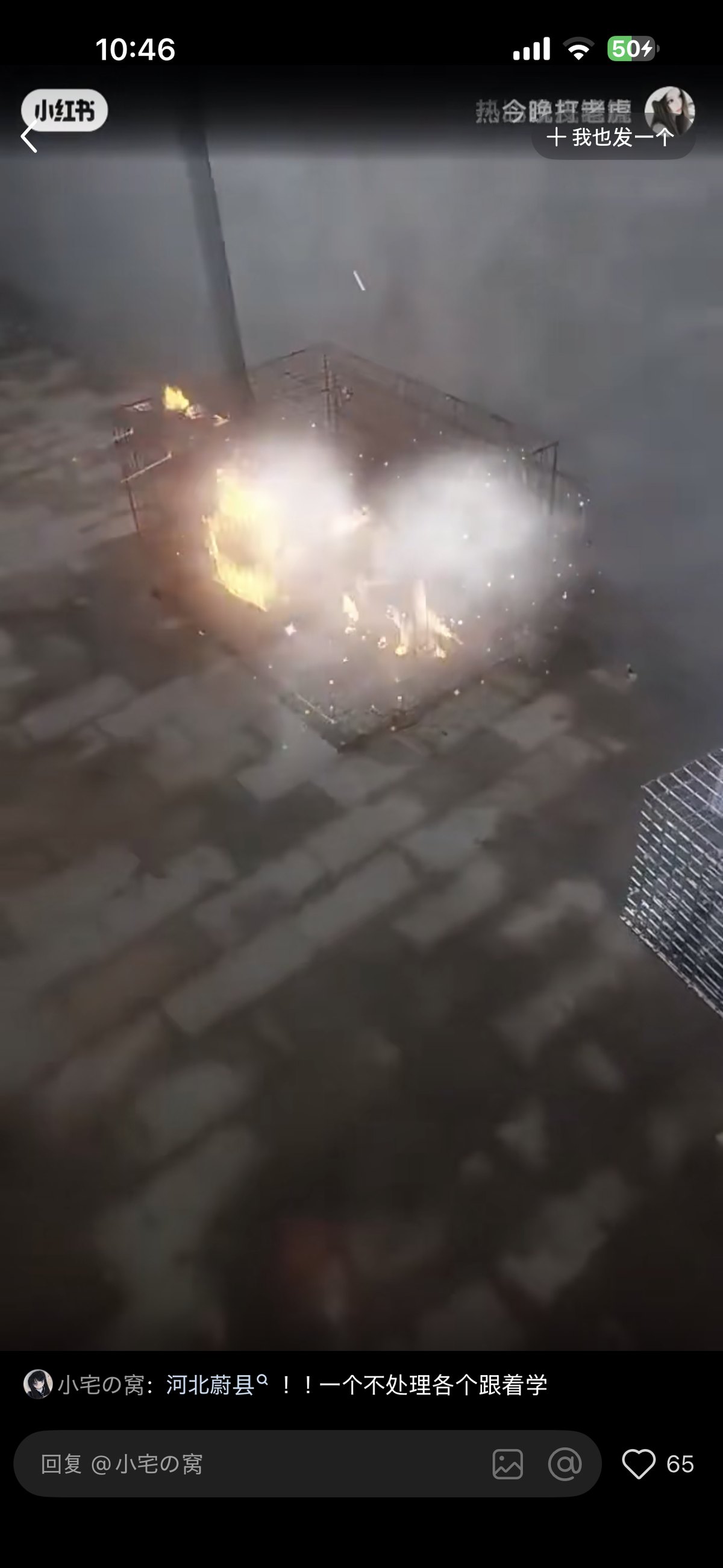 Weiterer mutmaßlicher Frame; Flammen um den Käfig und ein verpixelter Bereich sind sichtbar. Objekt, Zustand des Tiers und Ablauf müssen durch das Originalvideo geprüft werden.