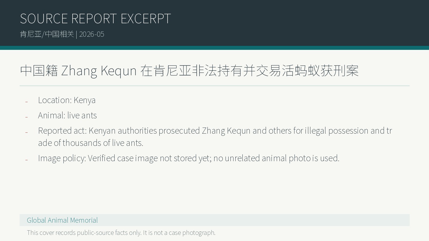 Kenya: Zhang Kequn wegen illegalen Besitzes und Handels mit lebenden Ameisen verurteilt