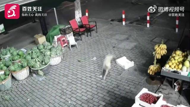 Ueberwachungsbild vor dem Obstladen in Haiyan