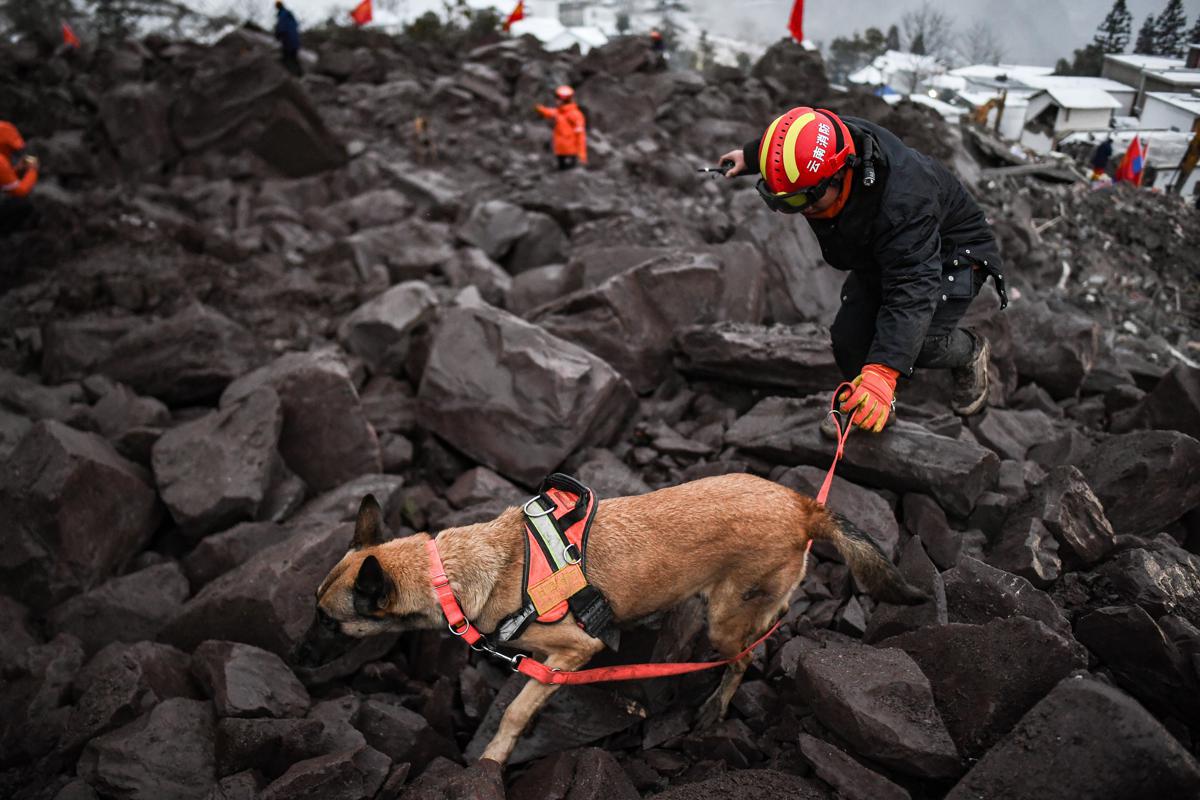 Rettungskraefte suchen mit einem Hund am Erdrutschort im Dorf Liangshui, Zhenxiong, Yunnan, nach Vermissten. Bildquelle: Xinhua / China Daily.