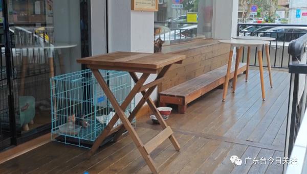 Katzenkaefig und Raum vor der Tierhandlung am Ort des Vorfalls