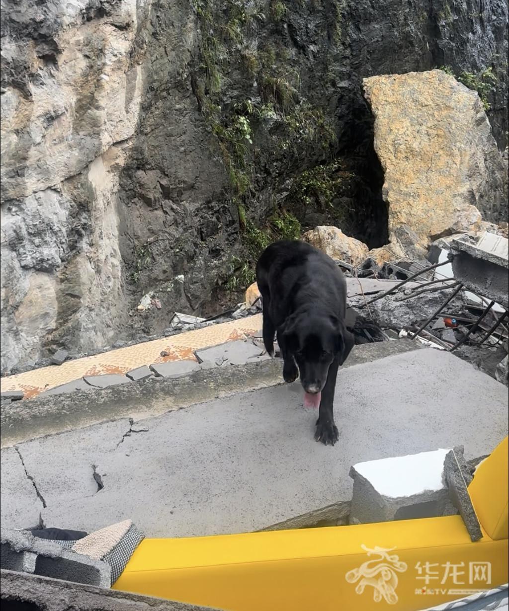 Zixie no local do colapso de encosta em Pengshui, Chongqing. Fonte: First Eye TV-CQNews, foto de Xie Pengfei.
