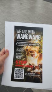 访客上传图片