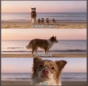 Visitor uploaded image