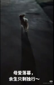 Visitor uploaded image