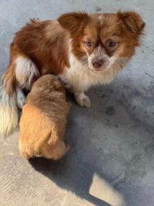 Visitor uploaded image
