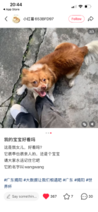 Visitor uploaded image