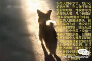 Visitor uploaded image