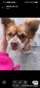 Visitor uploaded image