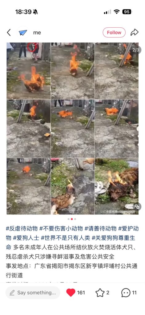 图片（最多 10 张，每张 3 MB）