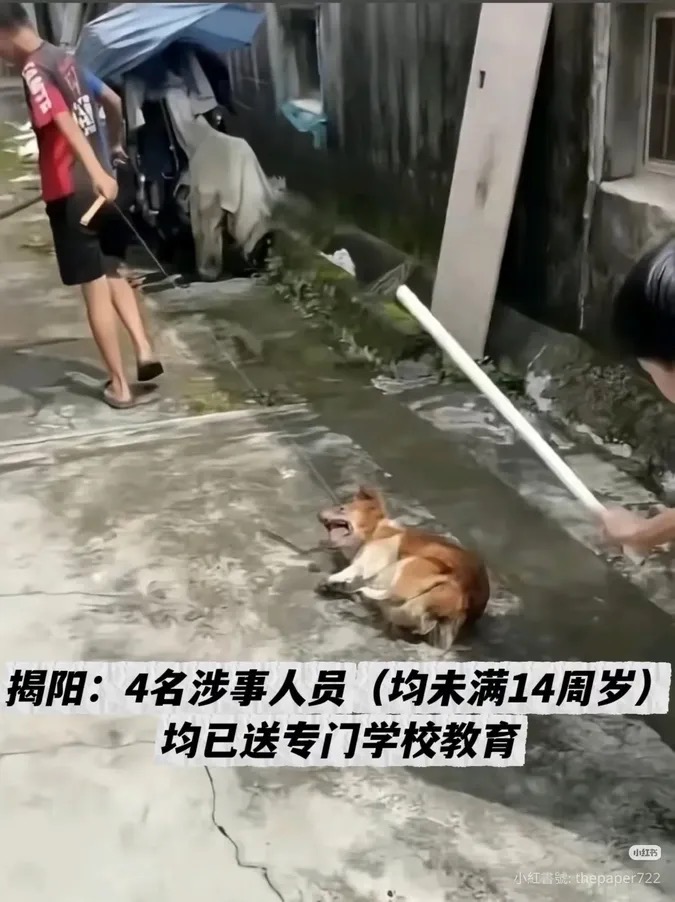 图片（最多 10 张，每张 3 MB）
