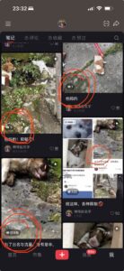 Visitor uploaded image
