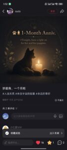 访客上传图片