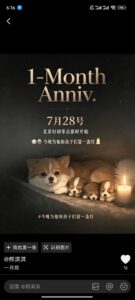 访客上传图片