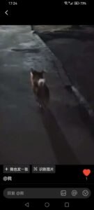 Visitor uploaded image