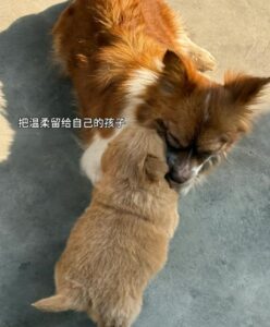 Visitor uploaded image